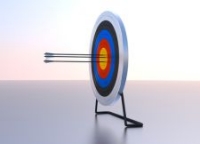 Target arrows.jpg Target arrows.jpg